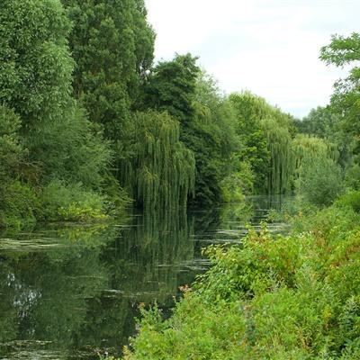 开云·kaiyun体育