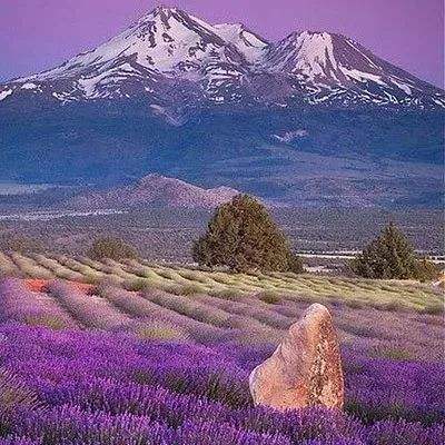 新澳门六开彩资料大全手机app下载